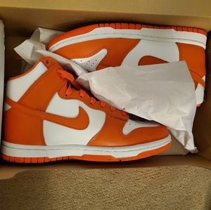 Brand new Nike dunk high sneakers